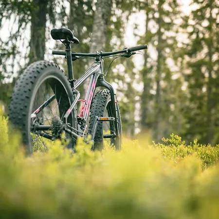 Aparthotel Ski-inn Rukatonttu Ruka